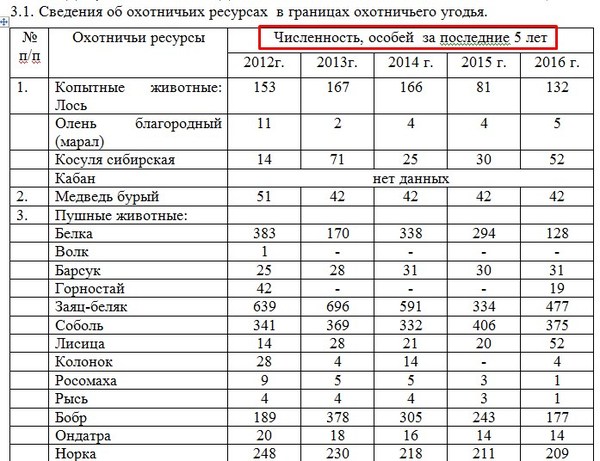 На Кузбассе сдают в аренду 142 000 гектаров тайги за 6 400 рублей (8 фото)