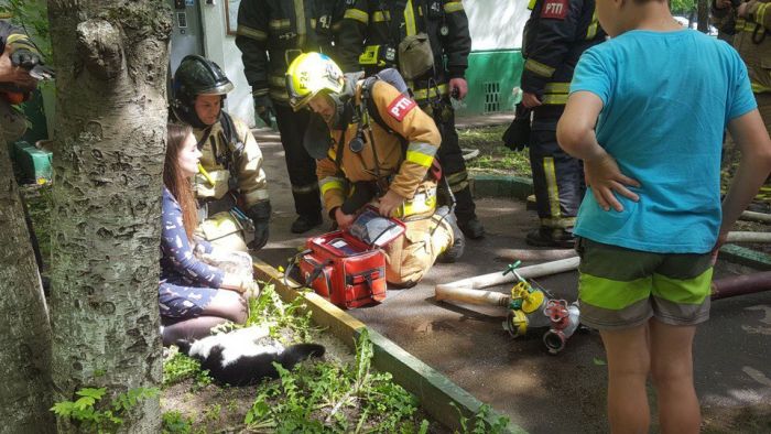 Пожарные спасли животных (4 фото)
