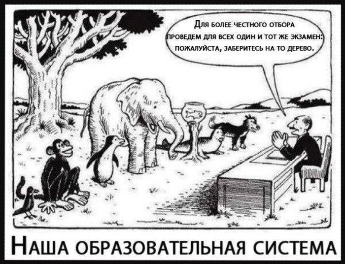 Смешные комиксы (20 картинок)