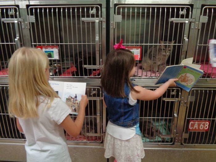 Американские школьники почитали книги животными из приюта (9 фото)