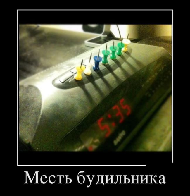 Демотиваторы (30 фото)