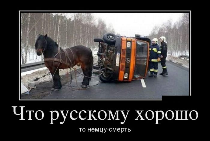 Демотиваторы (30 фото)