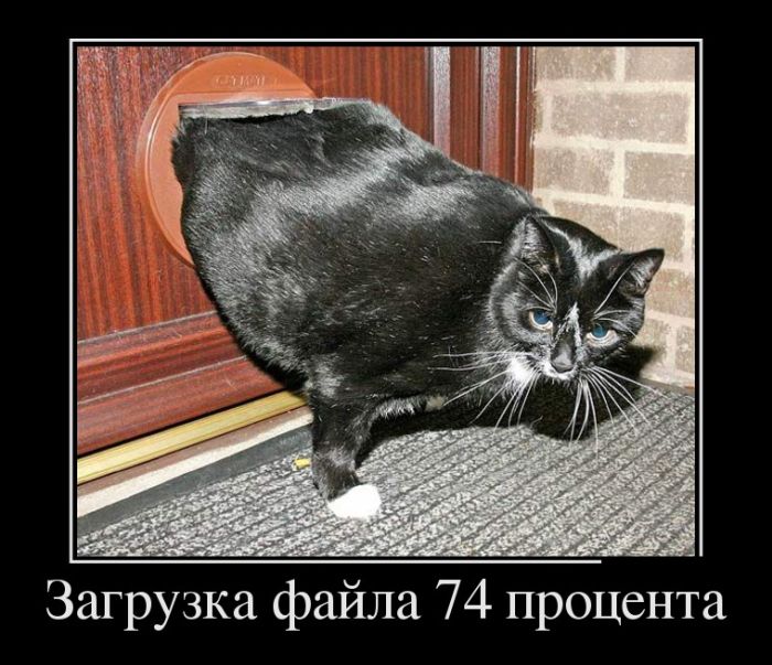 Демотиваторы (30 фото)