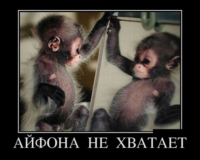 Демотиваторы (30 фото)