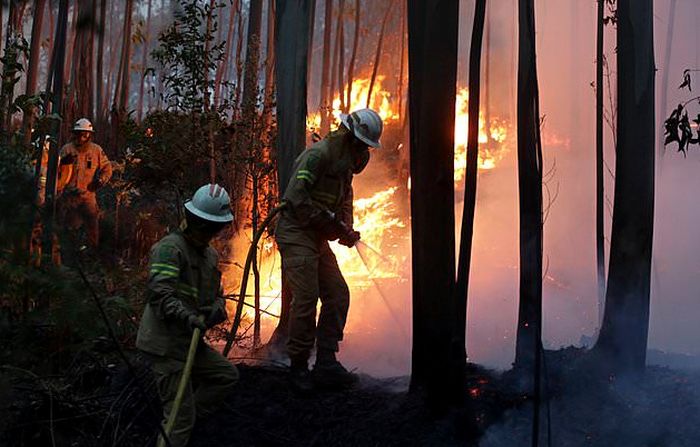В Португалии бушуют лесные пожары (15 фото + 2 видео)