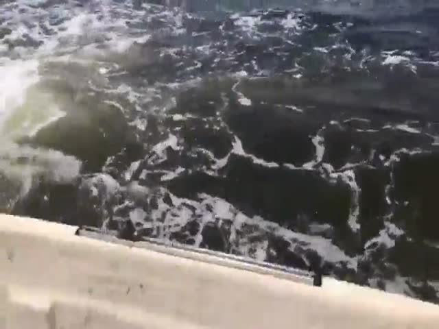 Прыжок горбатого кита едва не перевернул лодку