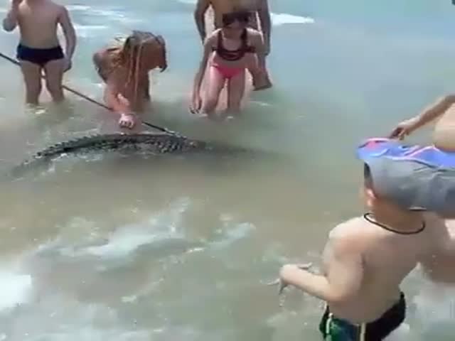 Мужчина купает крокодила в Черном море