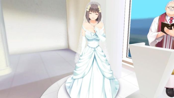 В Японии Геймер женился на героине онлайн-игры для взрослых (4 фото)