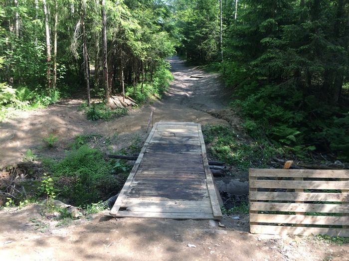 Строительство мостика через лесной ручей (9 фото)