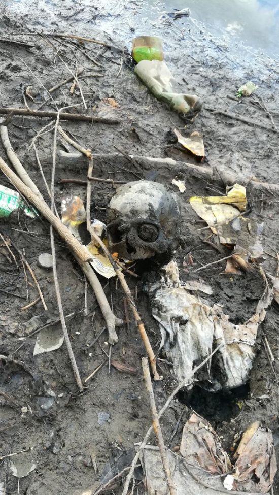 В Екатеринбурге в Городском пруде найден человеческий череп (2 фото)