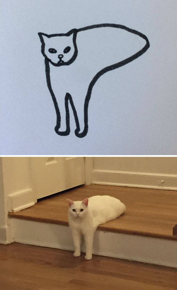 Прикольные рисунки котов (20 фото)