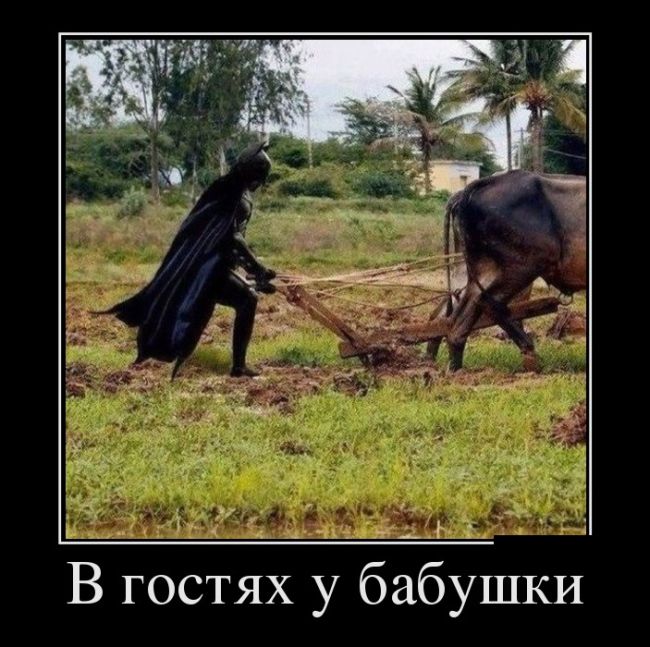 Демотиваторы (30 фото)