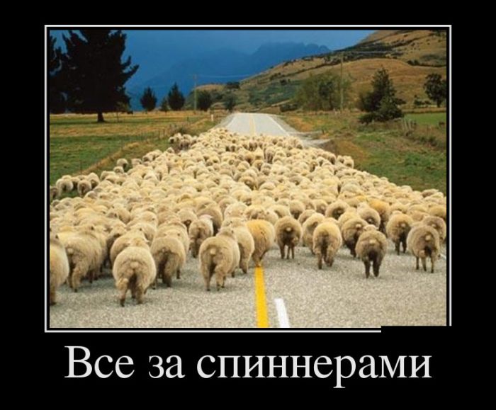 Демотиваторы (30 фото)