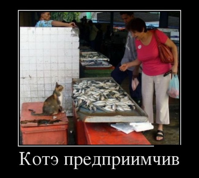 Демотиваторы (30 фото)