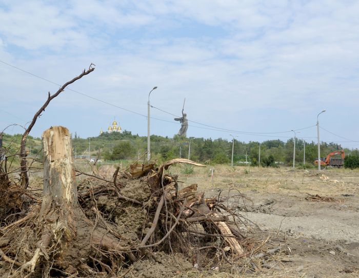 В Волгограде вырубили последние деревья Мемориального парка у Мамаева кургана (9 фото)