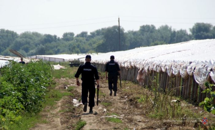 В Волгоградской области обнаружен поселок нелегальных трудовых мигрантов (10 фото)