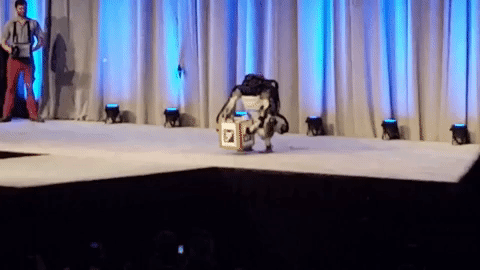 Робот Atlas компании Boston Dynamics упал во время презентации (3 гифки)