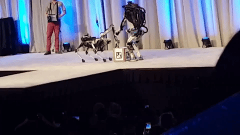 Робот Atlas компании Boston Dynamics упал во время презентации (3 гифки)
