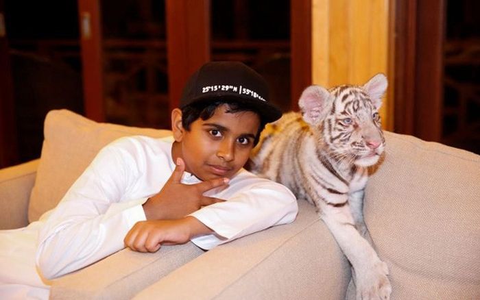 Красивая жизнь подростка Рашида Белхаса из Дубая (21 фото)