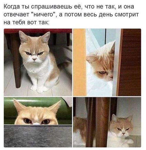 Подборка картинок. Дневной выпуск (52 фото)
