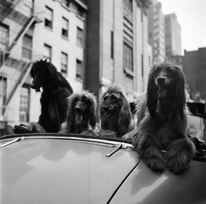 Фотографии Нью-Йорка, сделанные Стэнли Кубриком (31 фото)