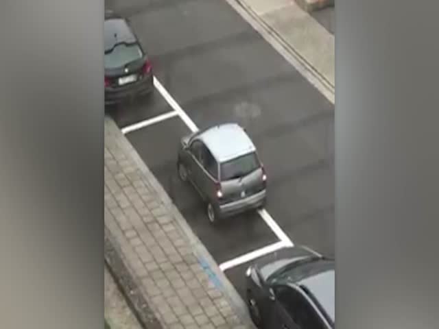 Тяжелая парковка бельгийской автоледи попала на видео