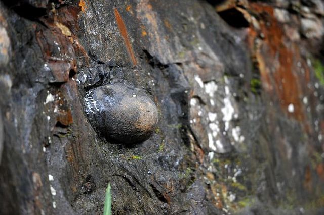 Скала с «каменными яйцами» принесла известность китайской деревне (6 фото)