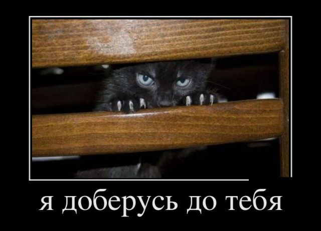 Демотиваторы (30 фото)