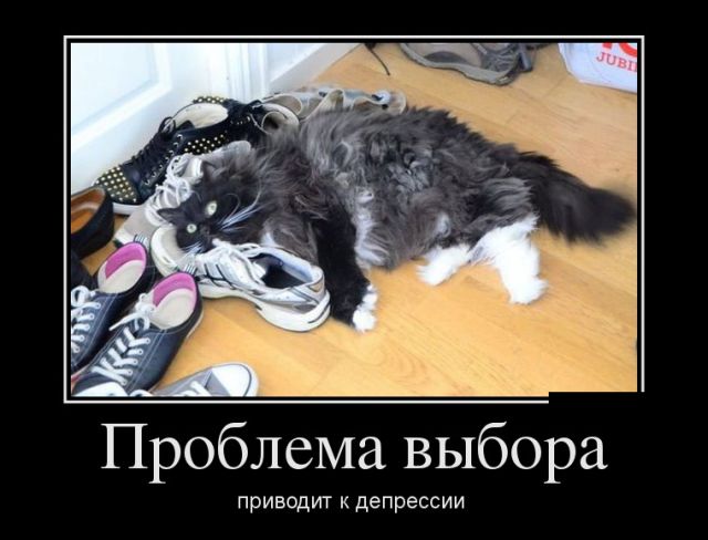Демотиваторы (30 фото)