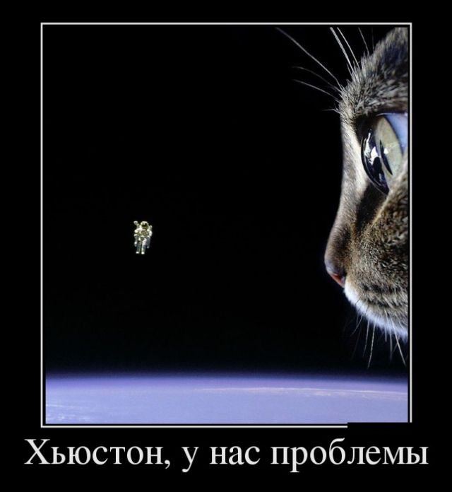 Демотиваторы (30 фото)
