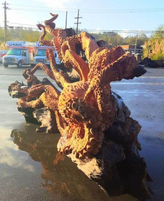 Гигантский осьминог из цельного ствола дерева (9 фото)