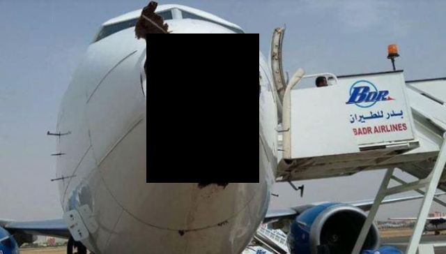 Boeing 737 после встречи со стаей птиц (3 фото)