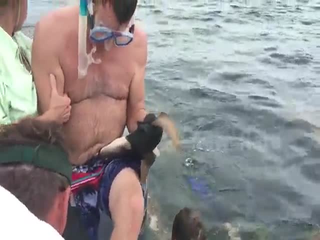 Акула вцепилась в рыбака и отказалась разжимать зубы