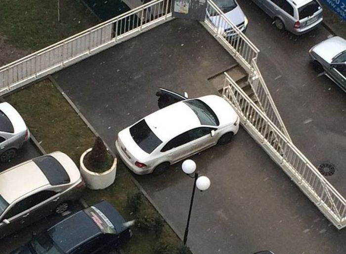 Автохамы паркуют свои автомобили (29 фото)