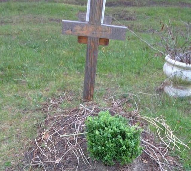 Могила Бориса Березовского спустя 4 года после его смерти (3 фото)