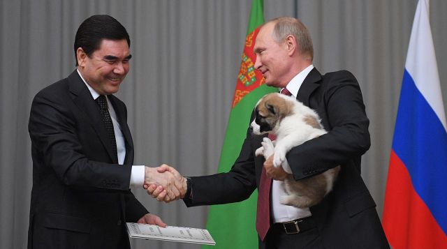 Президент Туркмении Гурбангулы Бердымухамедов подарил Путину щенка алабая по кличке Верный (5 фото + видео)