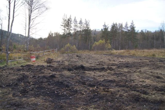 В Башкортостане лесорубы разрушили старинные Борисовские печи (10 фото)