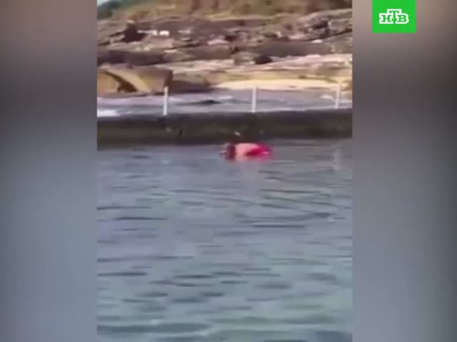 Австралийка руками поймала акулу
