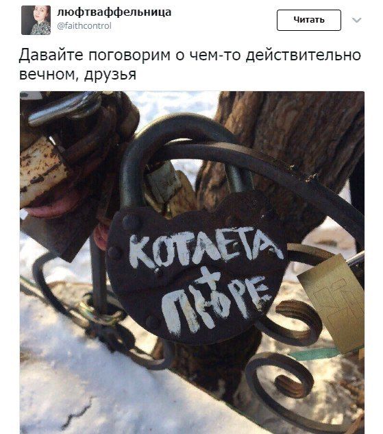 Подборка картинок. Вечерний выпуск (59 фото)