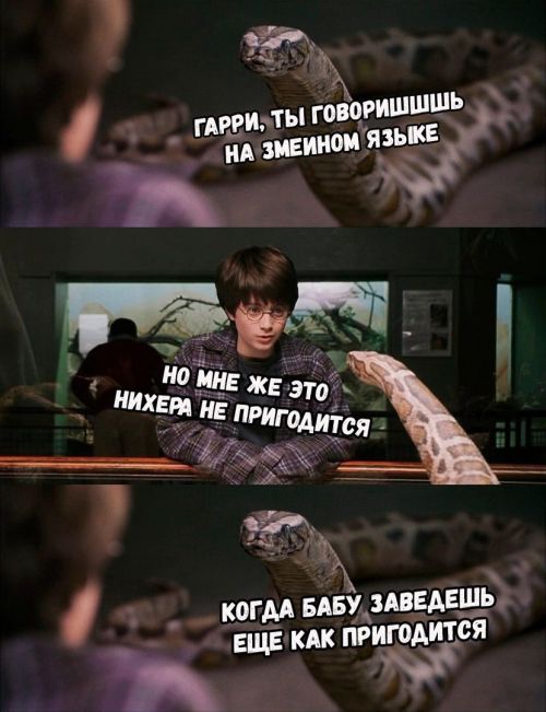 Подборка картинок. Вечерний выпуск (50 фото)