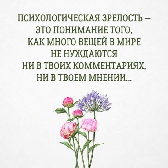Подборка картинок. Вечерний выпуск (50 фото)