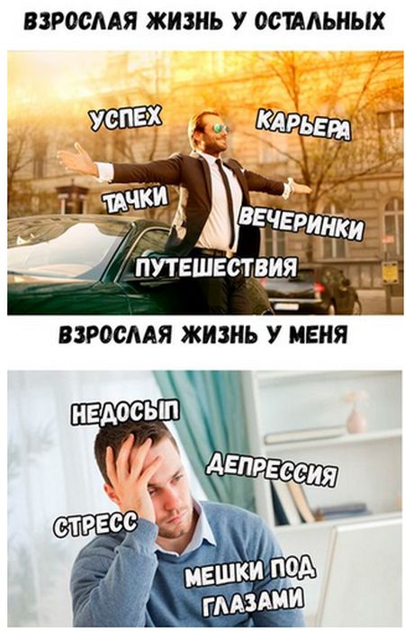 Подборка картинок. Дневной выпуск (50 фото)