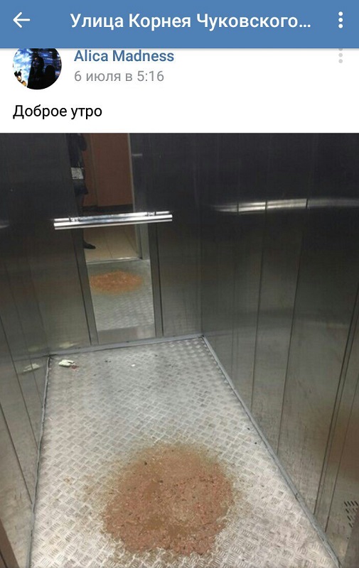 Типичное гетто на окраине Санкт-Петербурга (25 фото) Типичное гетто на окраине Санкт-Петербурга (25 фото)
