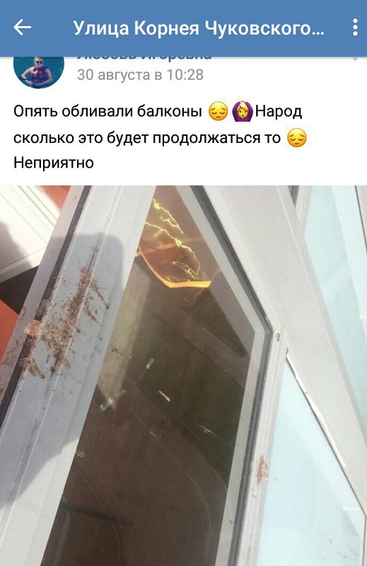 Типичное гетто на окраине Санкт-Петербурга (25 фото) Типичное гетто на окраине Санкт-Петербурга (25 фото)