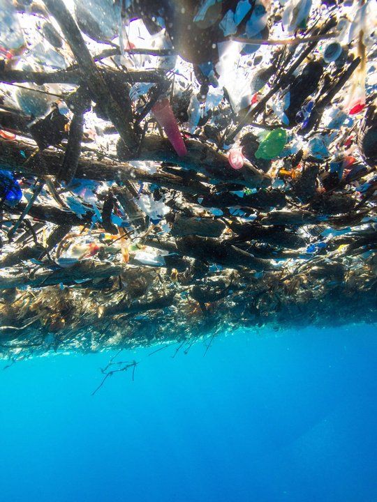 В Карибском море обнаружили остров из пластикового мусора (4 фото)