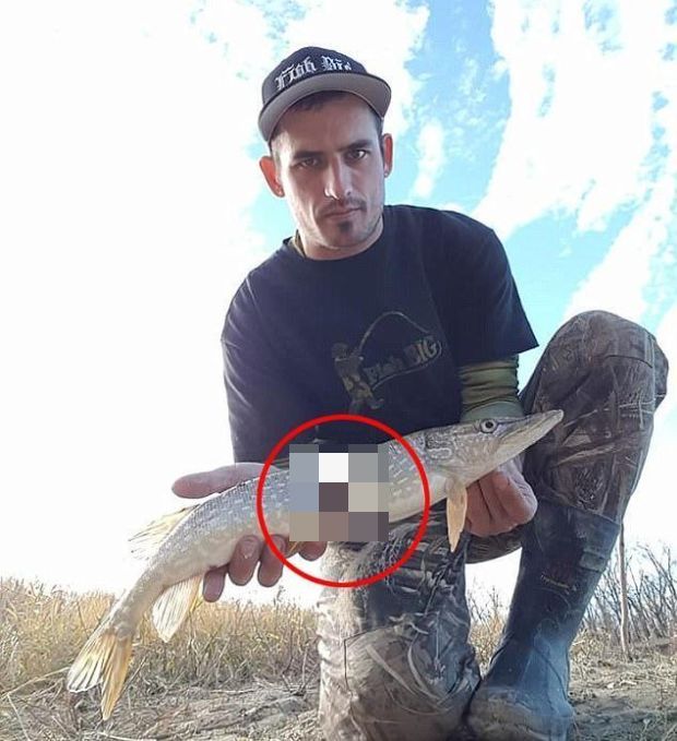 Рыбак поймал щуку с узкой «талией» (3 фото)