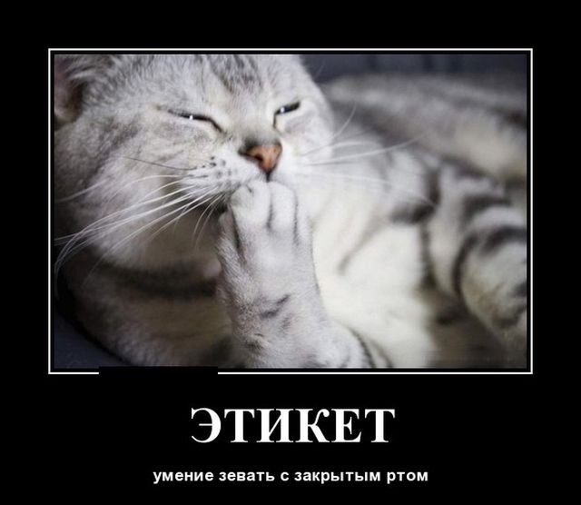 Демотиваторы (30 фото)