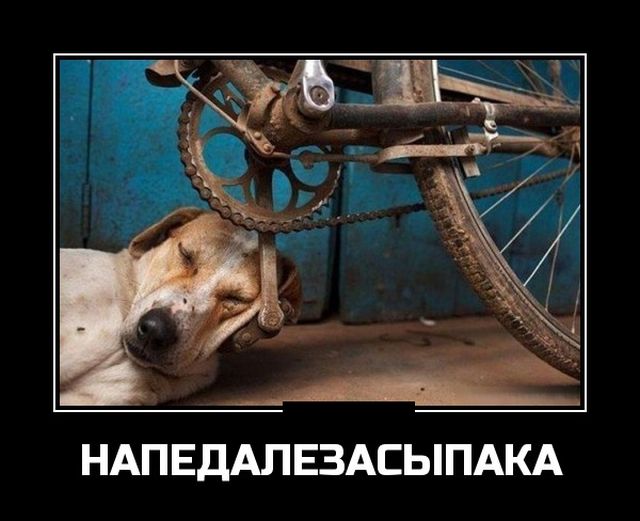 Демотиваторы (30 фото)