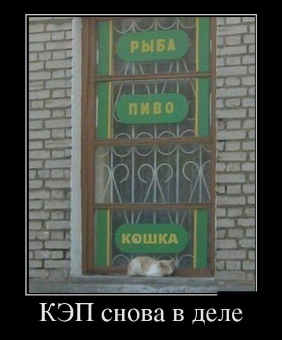 Демотиваторы (30 фото)