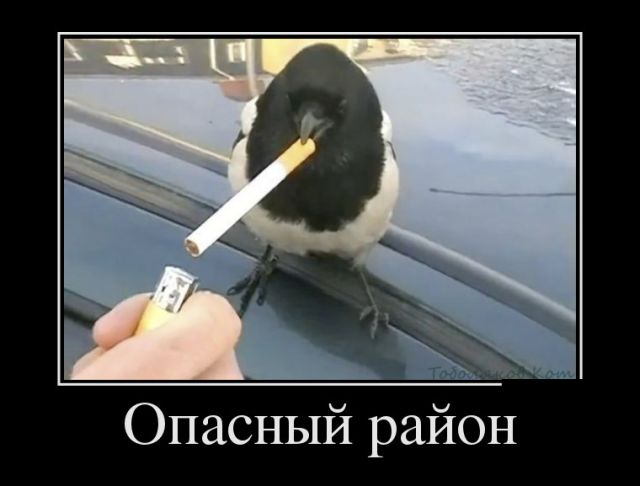 Демотиваторы (30 фото)
